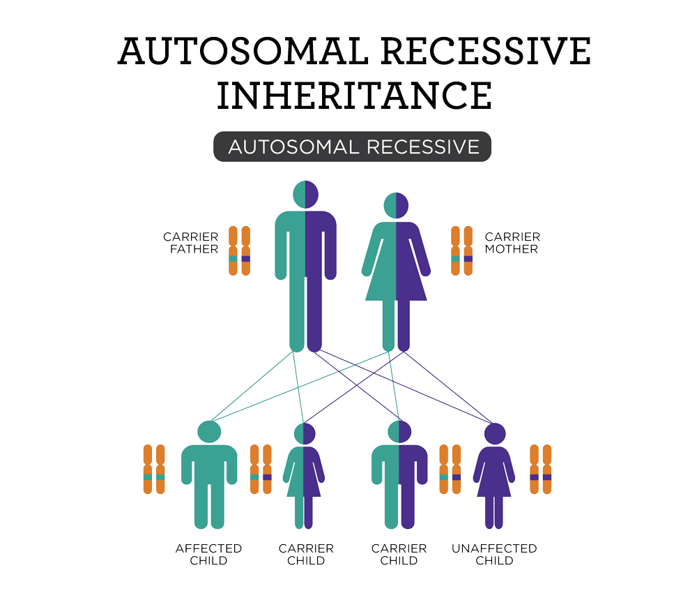 what is recessive genetic defects