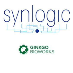 Synlogic - Ginkgo