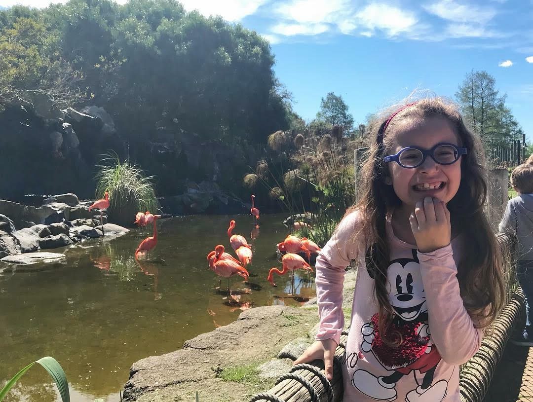 A girl in glasses is standing in front of a pond with flamingos.