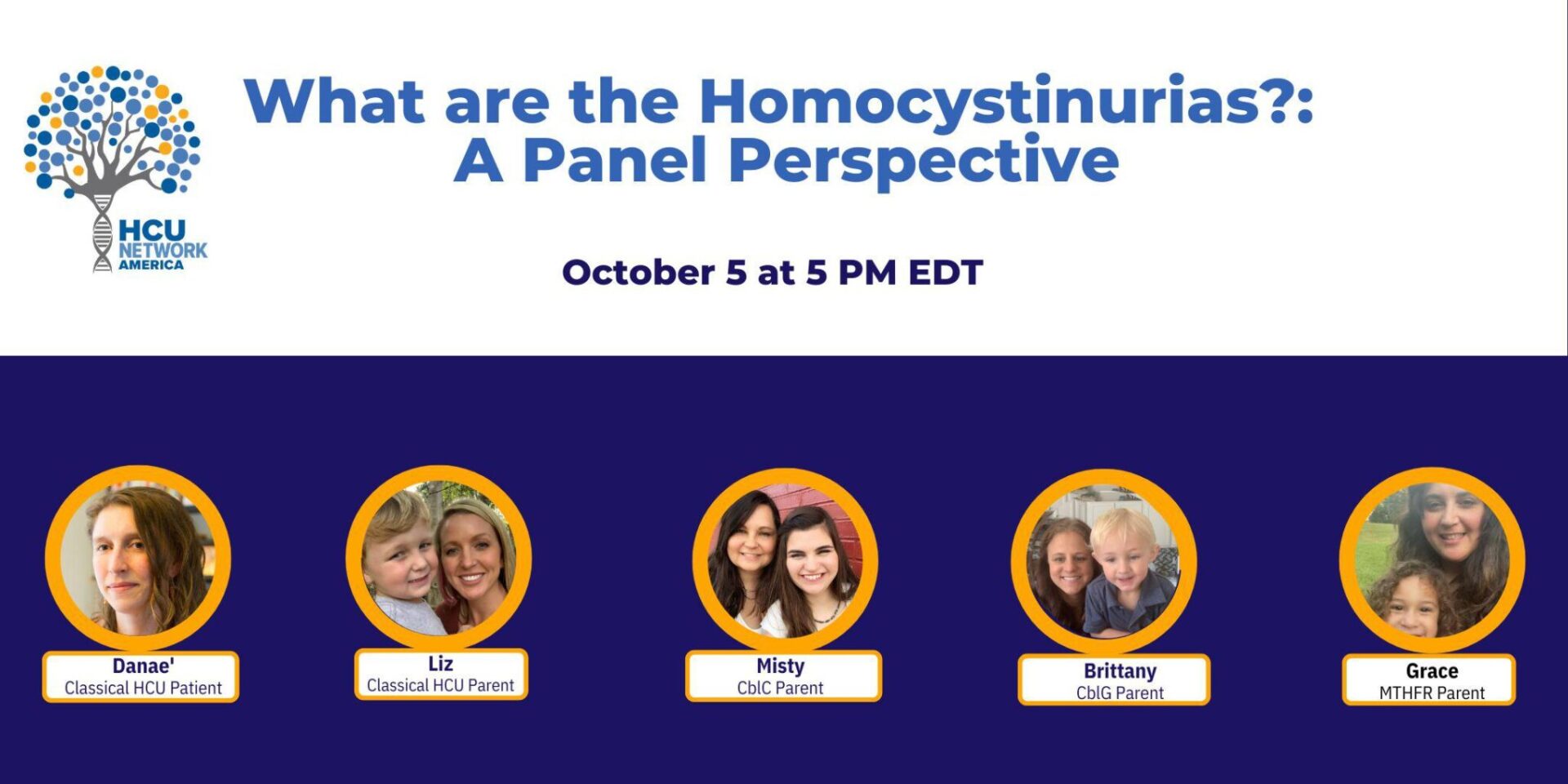 What are the Homocystinurias? A Panel Perspective