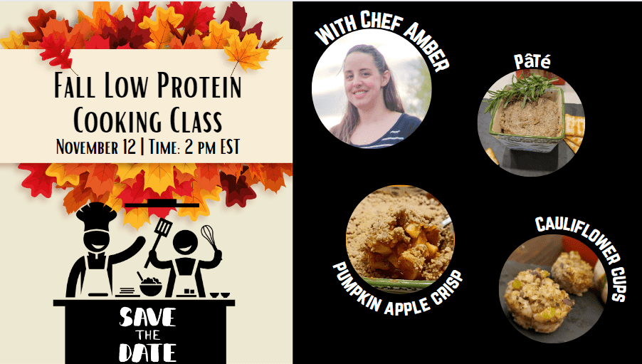 Fall Low Protein Cooking Class