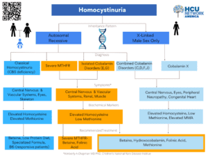 Homocystinuria Umbrella Flowchart on WHite Background