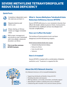 MTHFR Fact Sheet