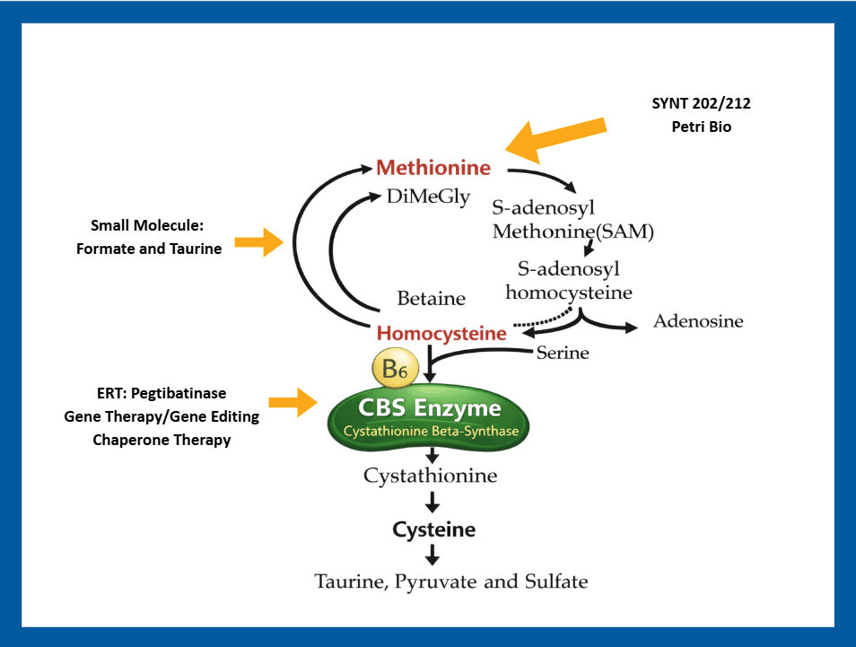 new cbs pathway