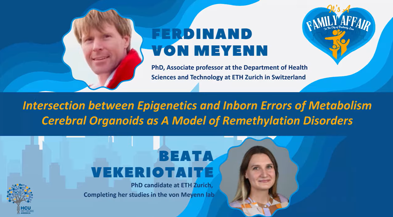 Cerebral Organoids - Ferdinand and Beata