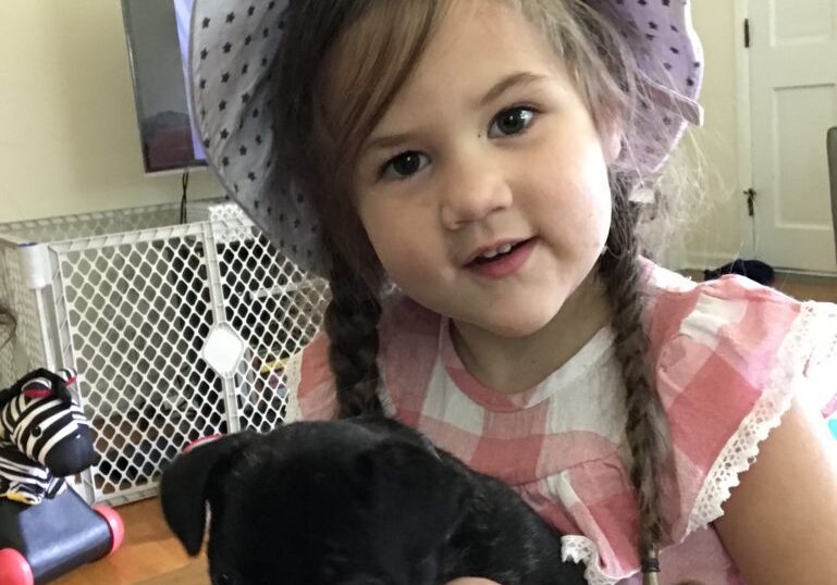 A little girl holding a black pug puppy.