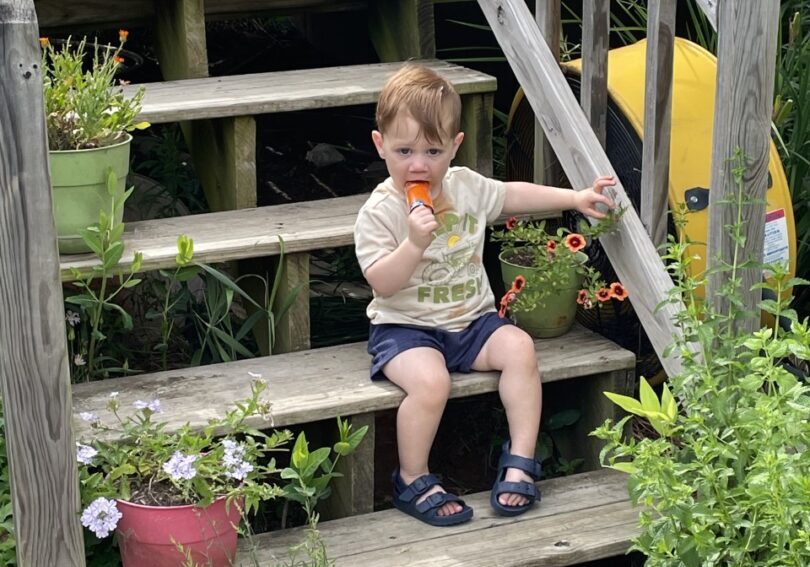 A toddler sitting on a set of stairs with potted plants.