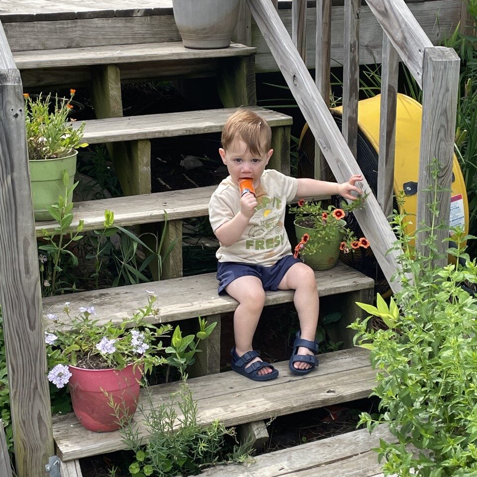 A toddler sitting on a set of stairs with potted plants.