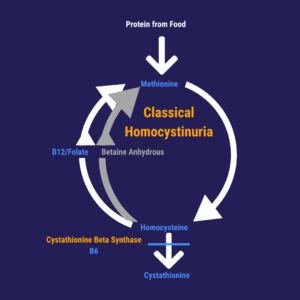 A diagram showing the cycle of classical homoystinuria.